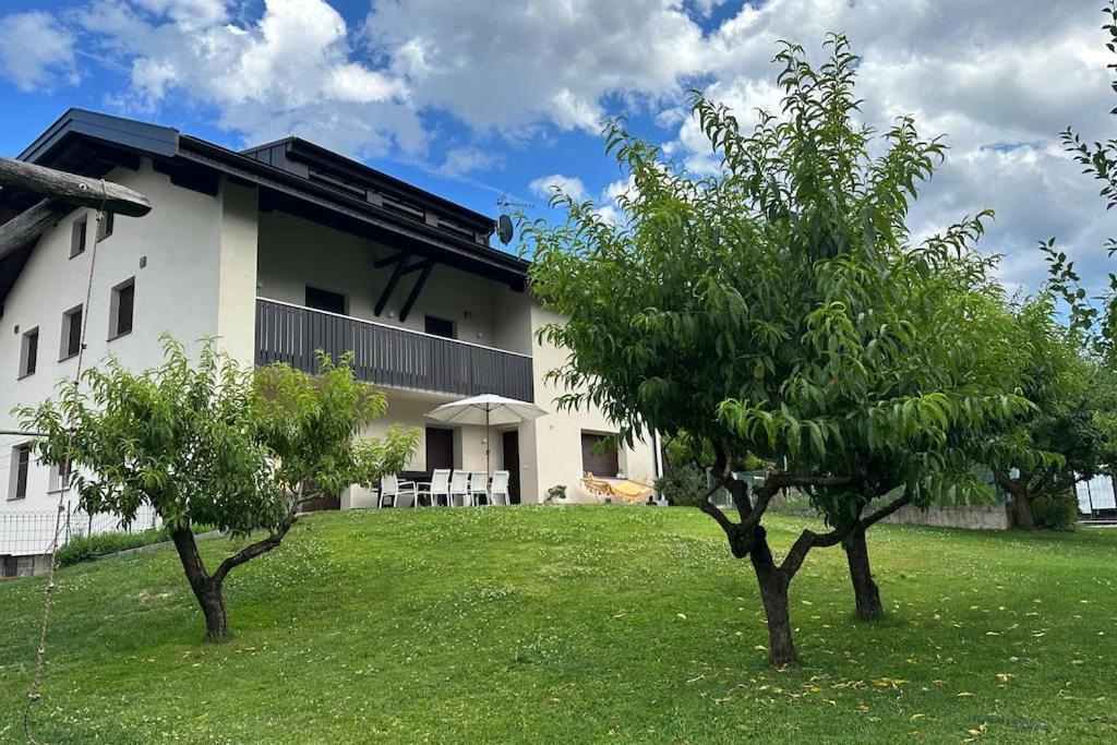 Haus Hafner Sonniges Apartment Terlano Exteriör bild